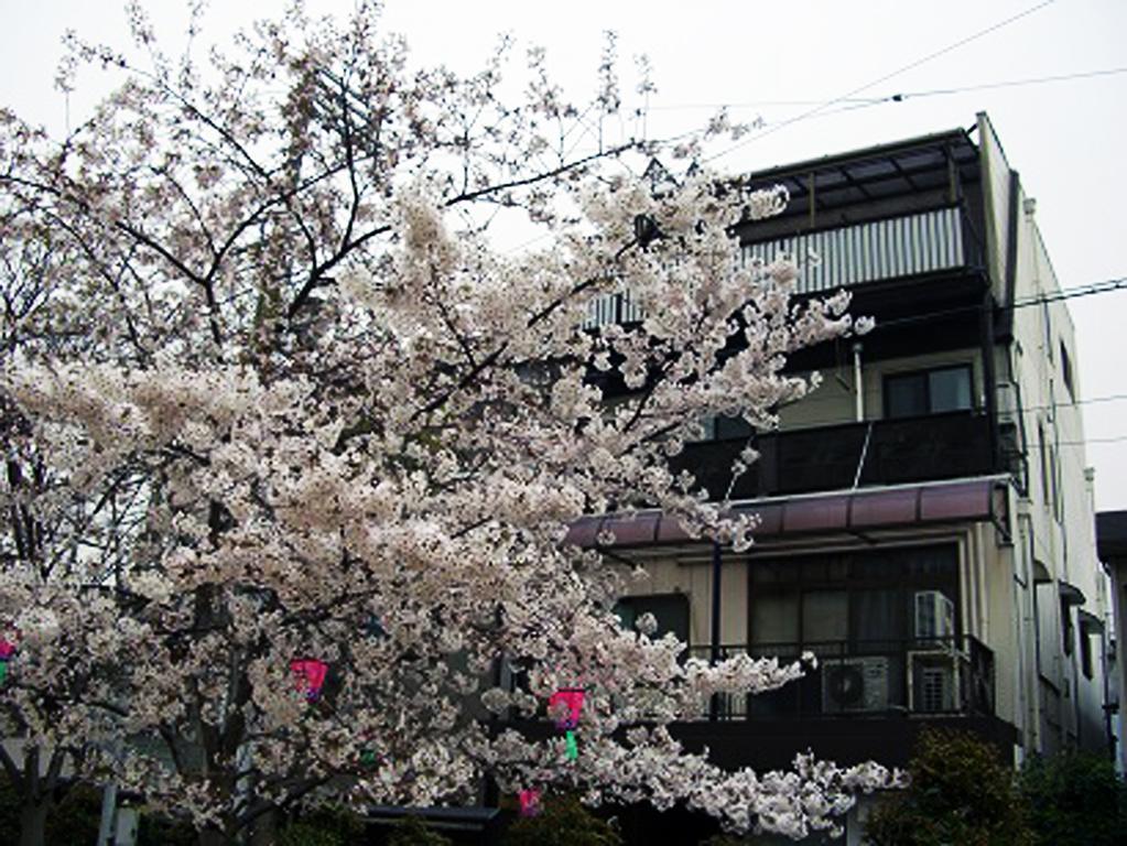 W.K Inn Ōsaka Extérieur photo